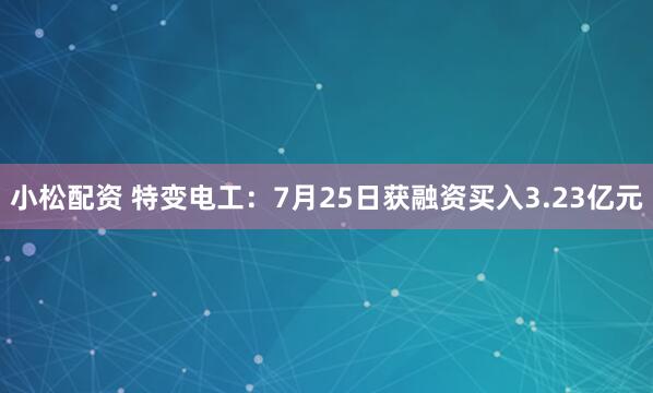 小松配资 特变电工：7月25日获融资买入3.23亿元
