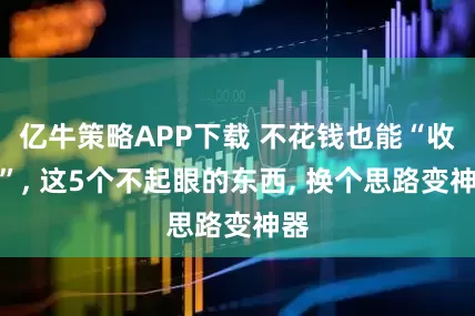 亿牛策略APP下载 不花钱也能“收纳”, 这5个不起眼的东西, 换个思路变神器