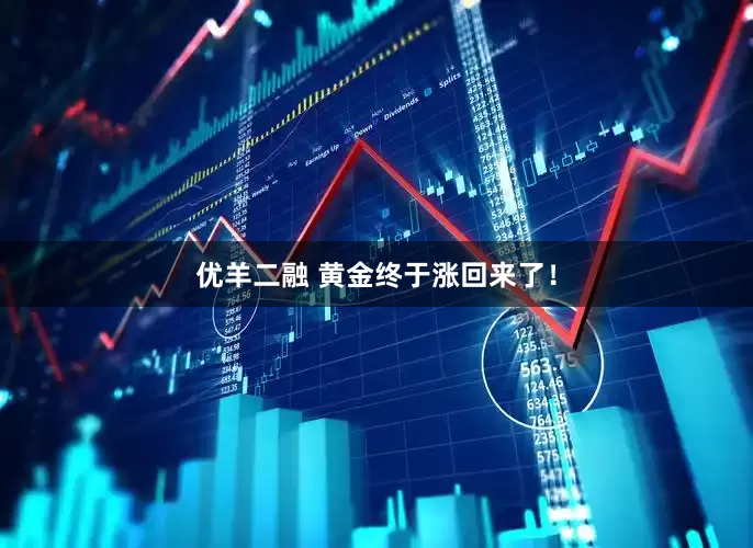 优羊二融 黄金终于涨回来了！
